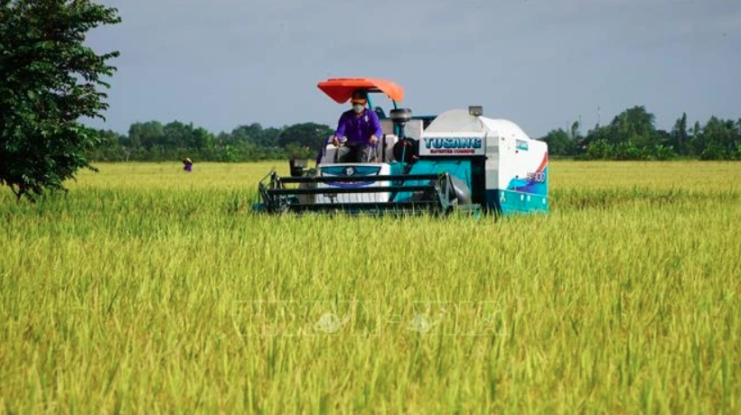 Vietnam, WB look to reduce emissions in rice cultivation